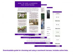 downloadable scentwork harness guide
