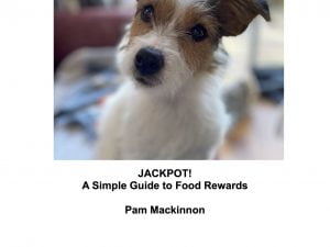 Food rewards guide cover