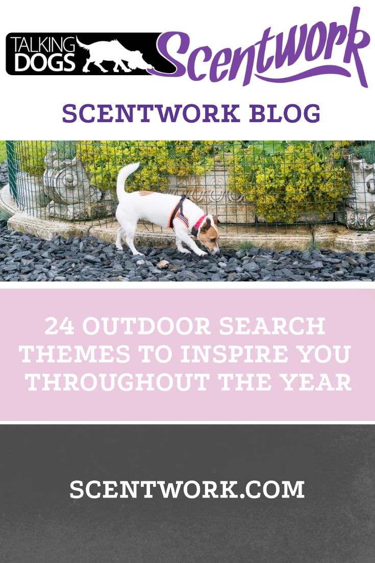 Outside Search 24 outdoor search themes to inspire you all year Talking Dogs Scentwork®