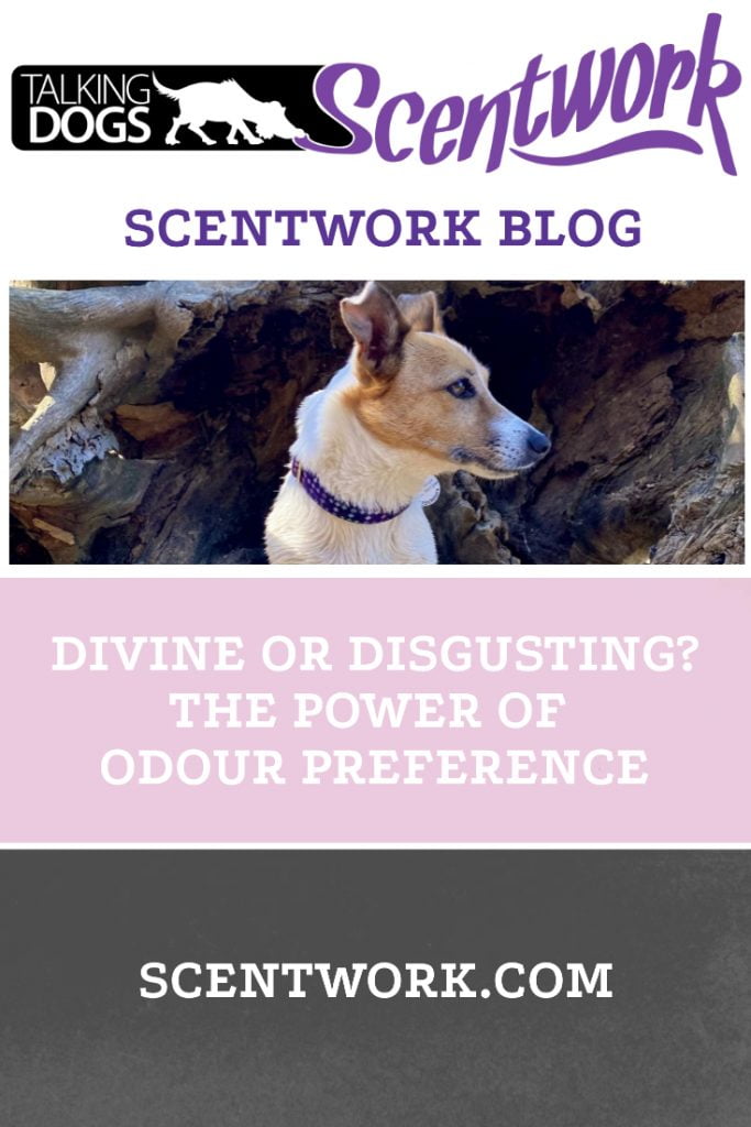 odour preference blog