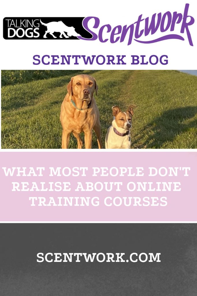 online training blog
