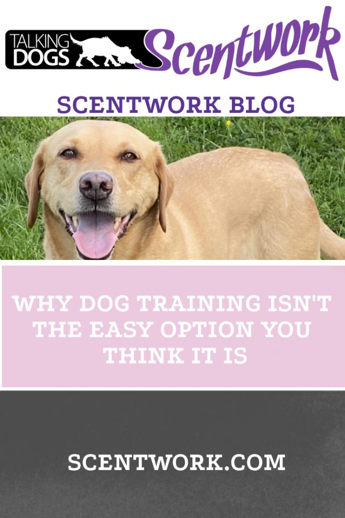 dog training isn't the easy option blog