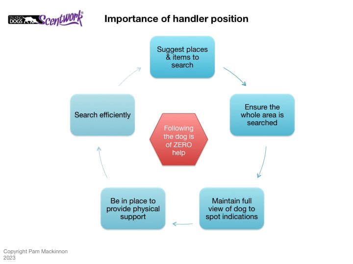 Handling Position Infographics Set - Image 7