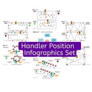 handler position infographics set
