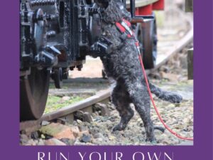 Run Your Own Scentwork Treasure Hunt Kit