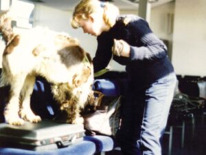 My Life as a Drug Detector Dog Handler Live Webinar