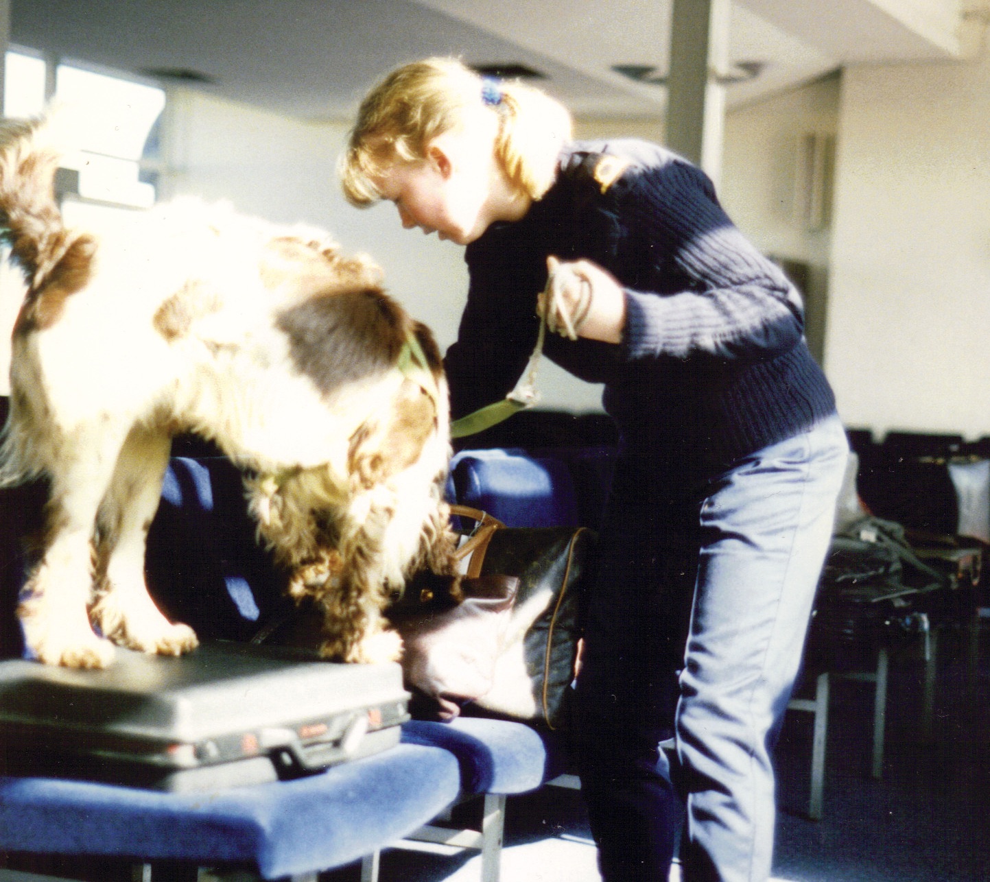 My Life as a Drug Detector Dog Handler Live Webinar